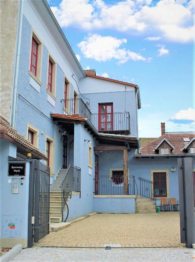Apartmany Papik Nová Bystřice Екстериор снимка